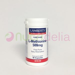 L-metionina-lamberts-nutridelia