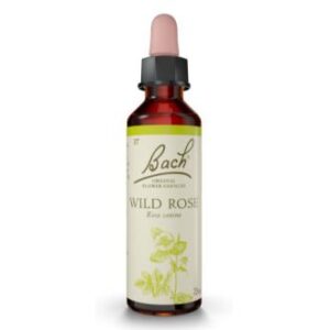 Flores de Bach®Original Wild Rose (Rosa Silvestre) 20ml